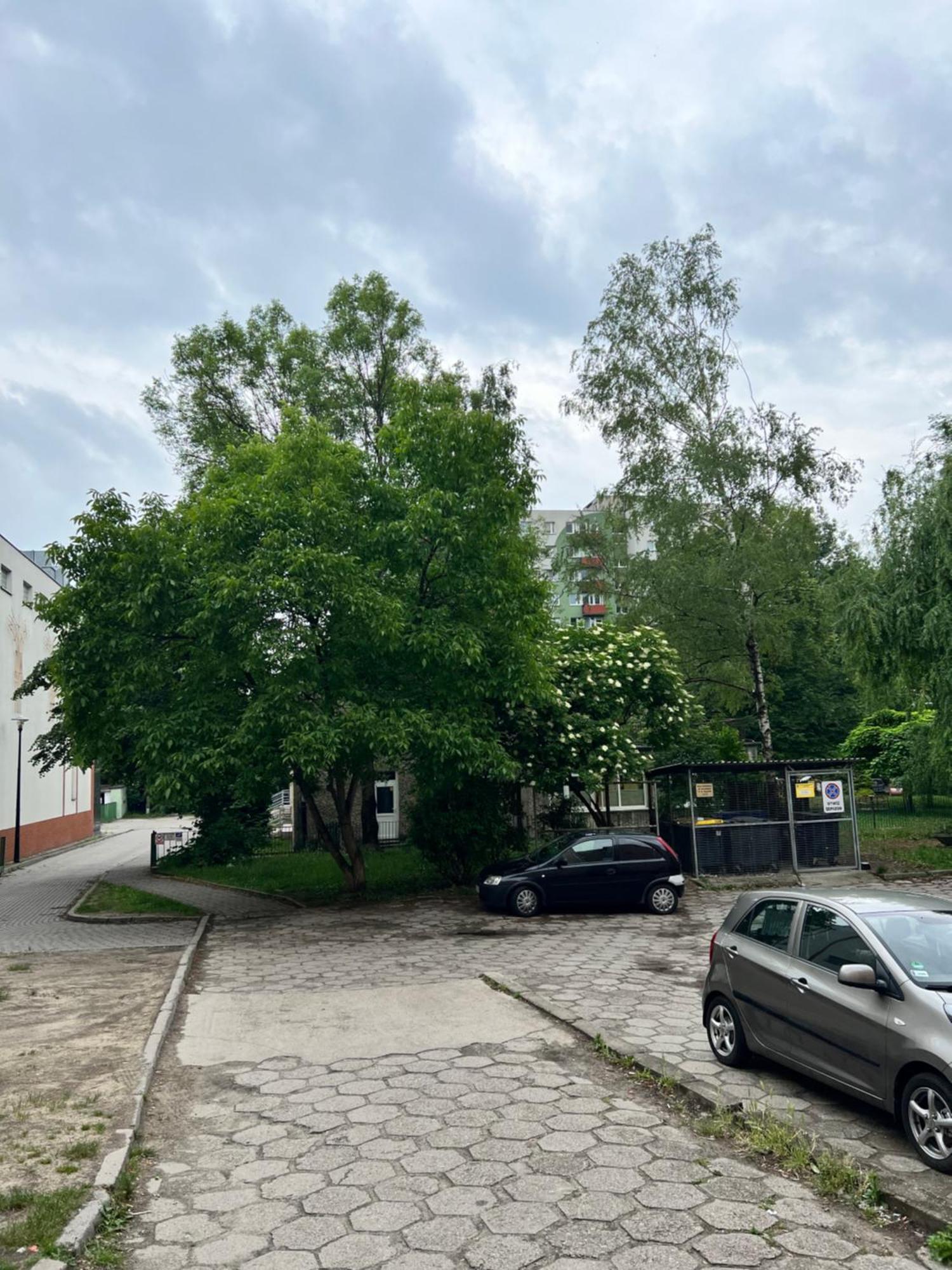 Nocleg Opole Kopernik Apartament Eksteriør billede